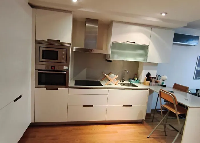 Pleno Centro, 5 Minutos Casco Vello, 400 Metros Estacion Ave Daire Vigo